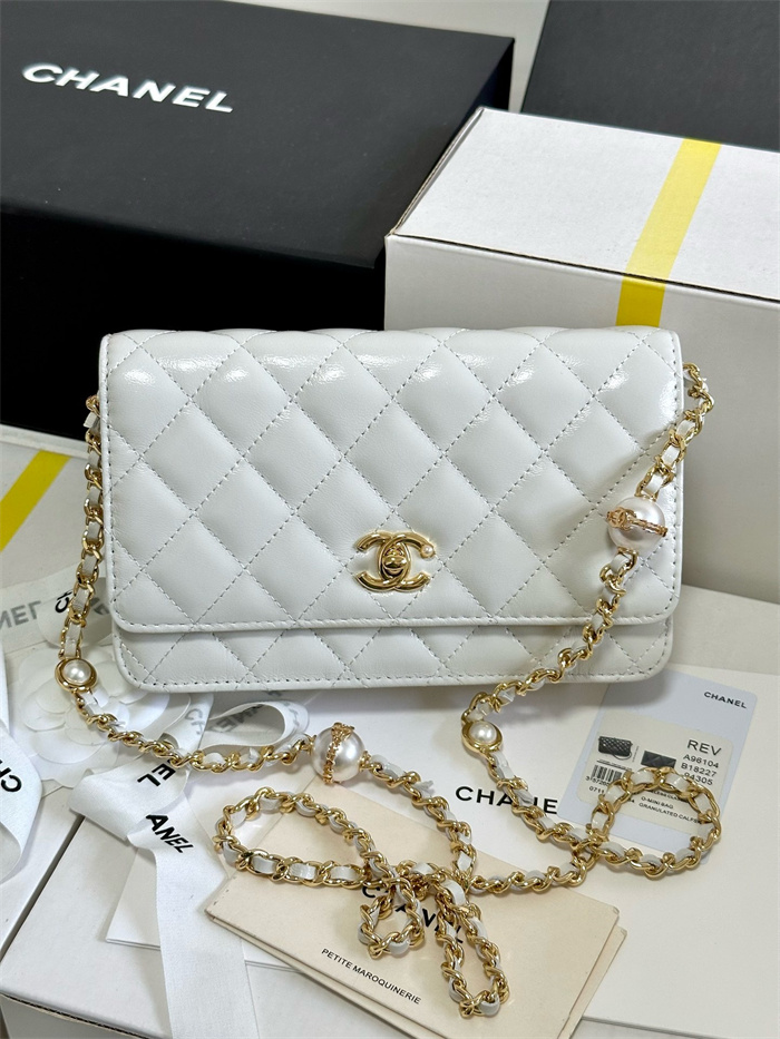 CHANEL 샤넬 WOC 19CM AS96104 2024/신상 2color