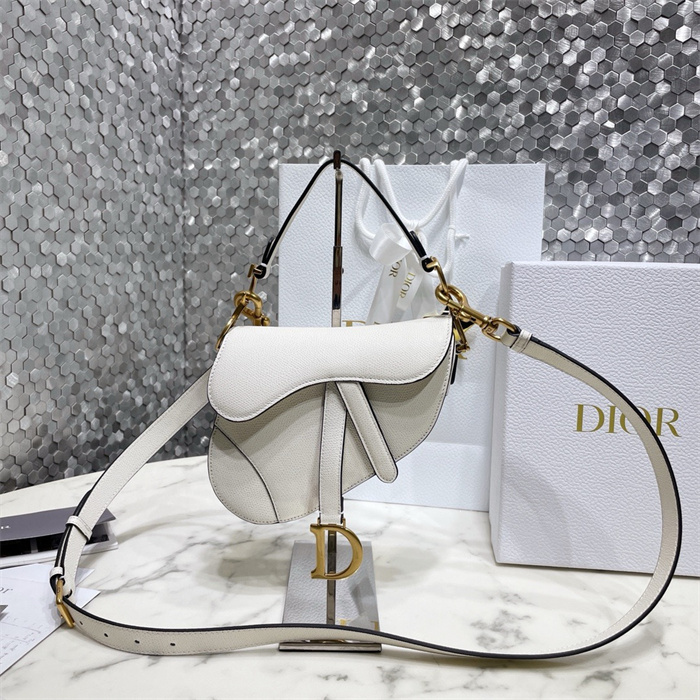 DIOR 디올 오블리크 새들백 M0447 2COLOR