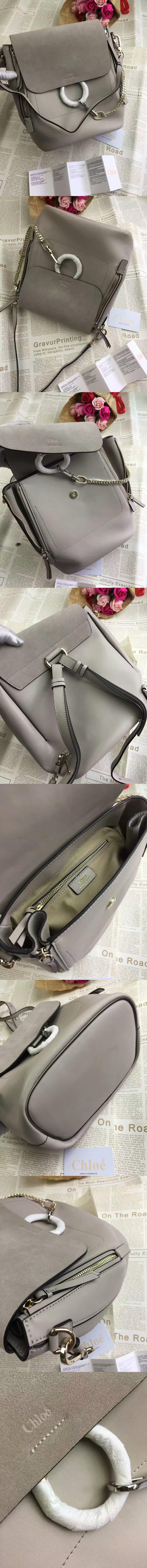 [Chloe]끌로에 페이 미디엄 백팩-3