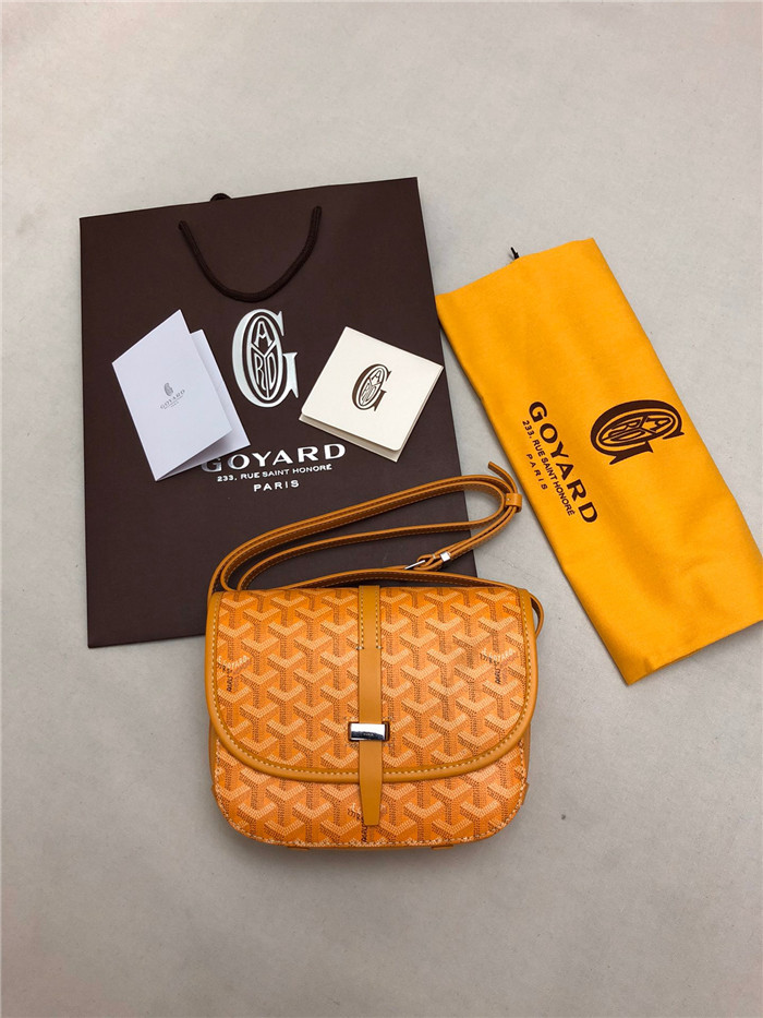 고야드 메신져백 22CM GY100980-1