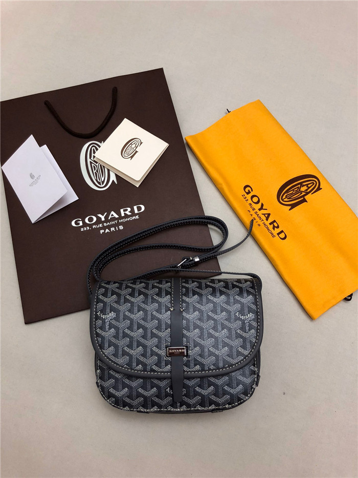 고야드 메신져백 22CM GY100980-3