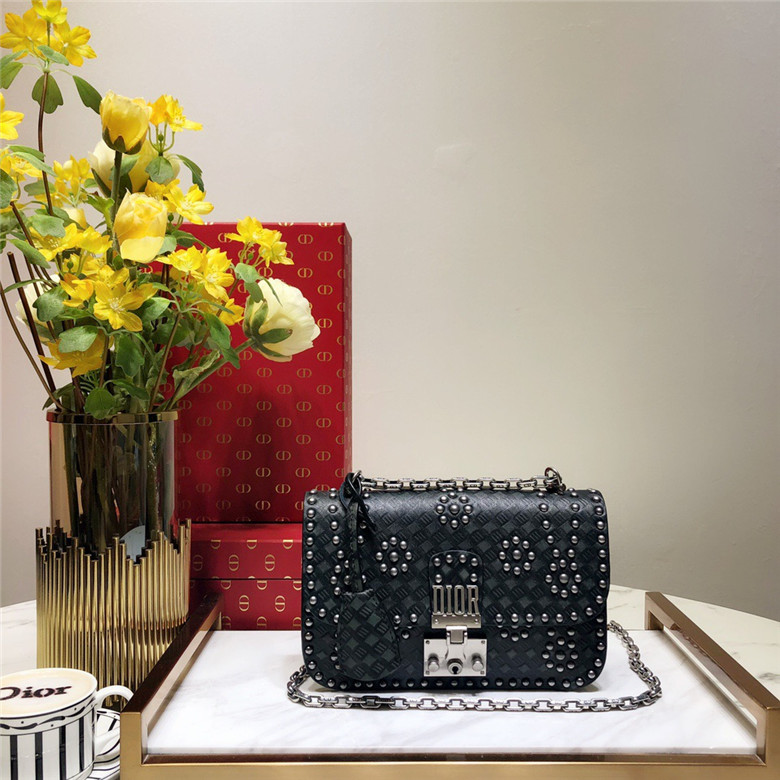 디올 체인숄더백 21CM 신상 D8090