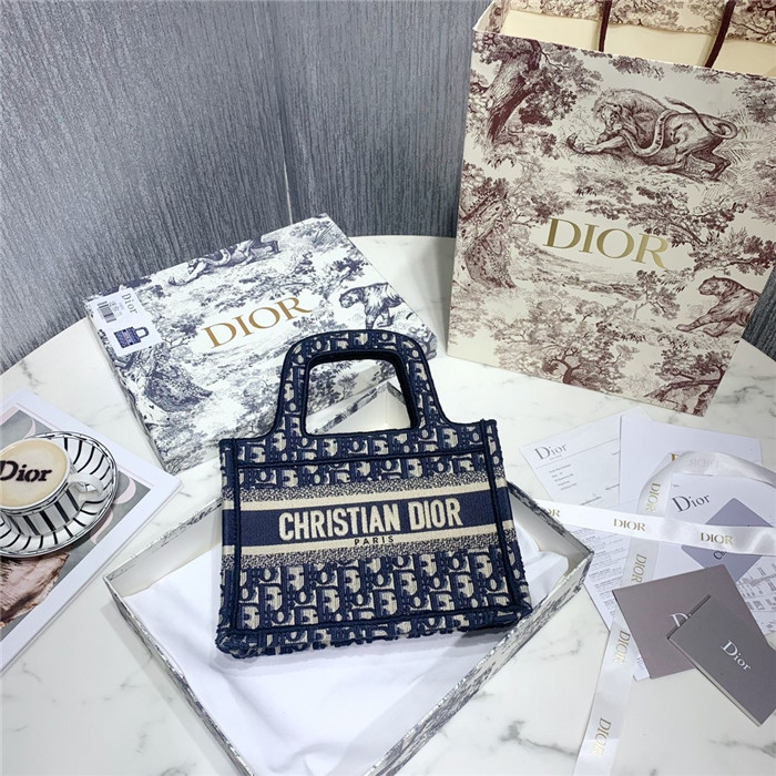 Dior 디올 미니 북 토트백 D50337-2 신상