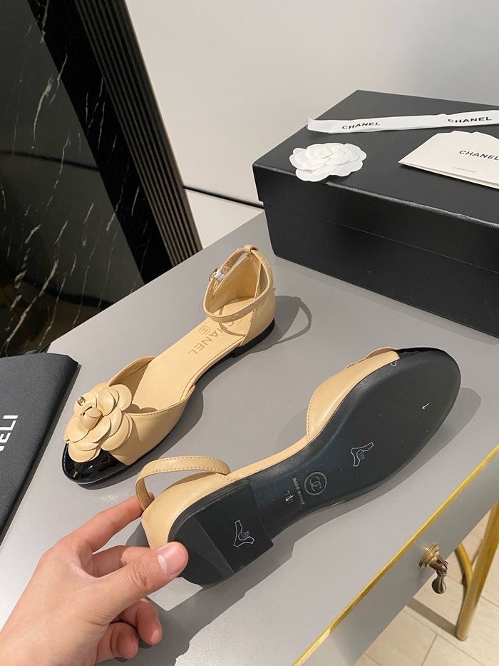 20250101214004/20240409193222_ec701a38f18e7c09bfcf293f02a82aa6_ps1s.jpg Array