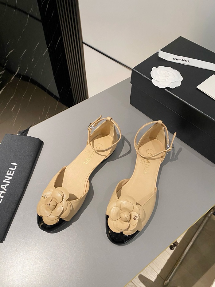 20250101214004/20240409193226_ec701a38f18e7c09bfcf293f02a82aa6_r7um.jpg Array