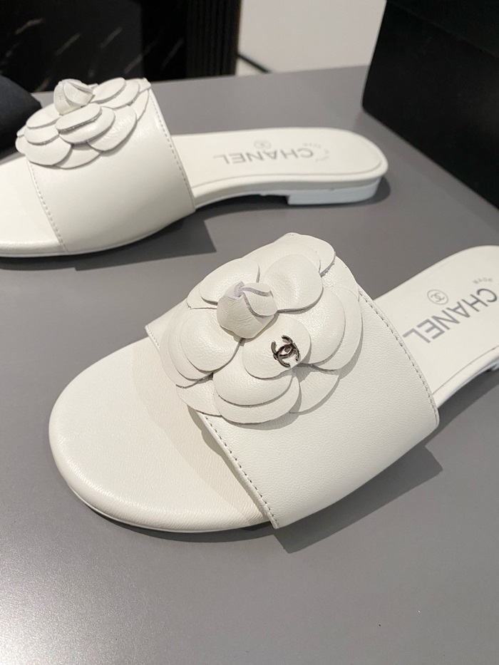 20250101214004/20240409194439_ec701a38f18e7c09bfcf293f02a82aa6_dcjp.jpg Array