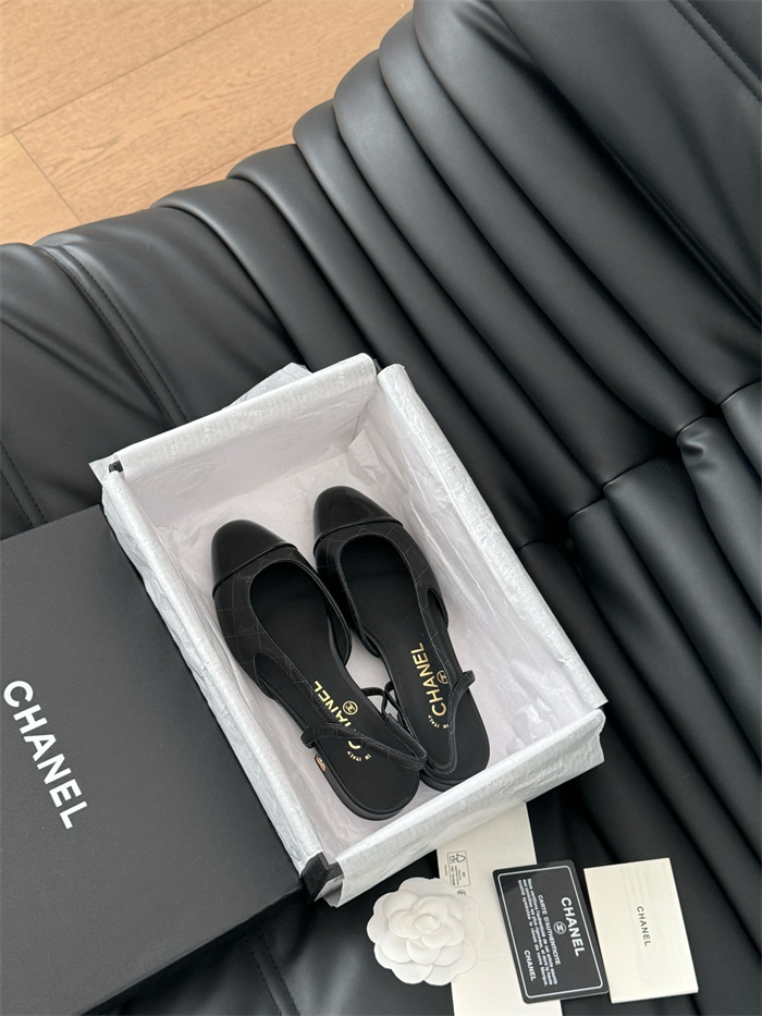 20250101214004/20241120203550_fa7e5489d2ad71f21bda35d799d86db2_t5ks.jpg Array