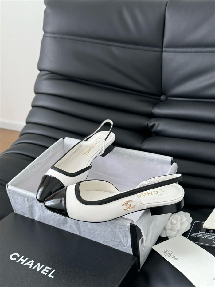 20250101214004/20241120233949_fa7e5489d2ad71f21bda35d799d86db2_l6wl.jpg Array