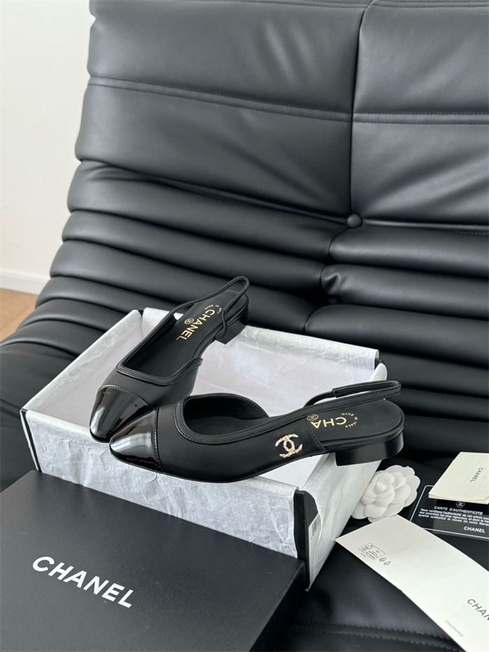 20250101214004/20241120233951_fa7e5489d2ad71f21bda35d799d86db2_p312.jpg Array