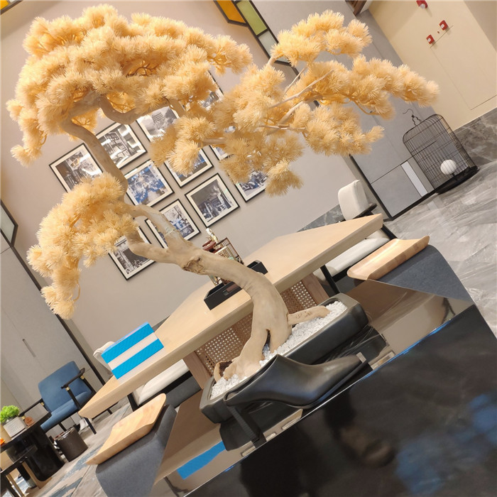 20250101214004/cb7c8ebe225c14e0f33858cd3186e1a0_1598938366_0287.jpg Array