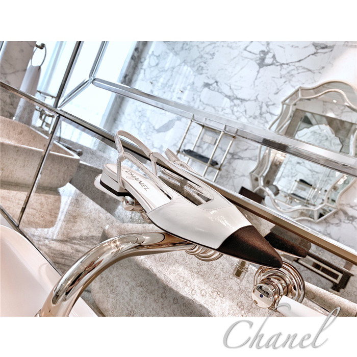 20250101214004/f25bbd65613989a93fb7e46cff1653d1_1591115721_5605.jpg Array