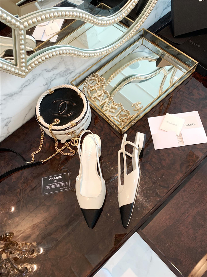 20250101214004/f25bbd65613989a93fb7e46cff1653d1_1591115725_6493.jpg Array