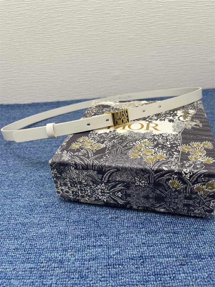 DIOR 디올 여성용 벨트 1.5CM  2024/신상
