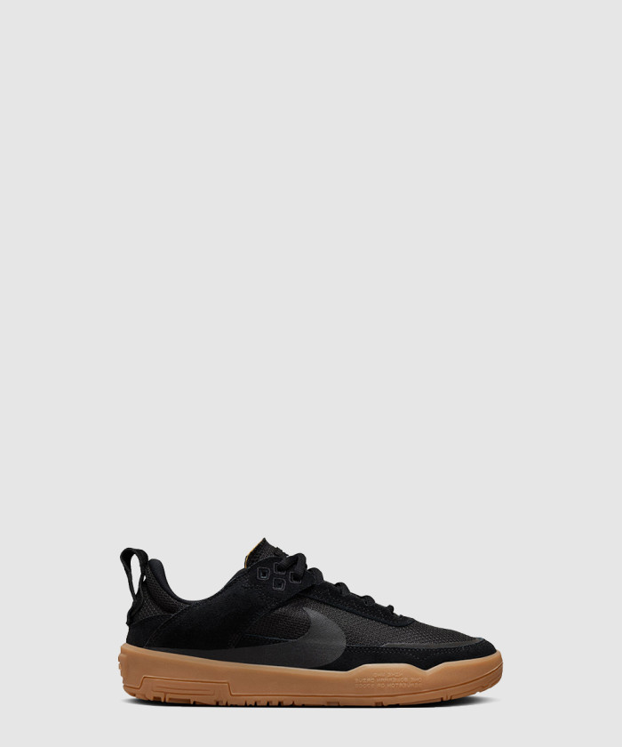 나이키 덩크 SB 로우 FN4210